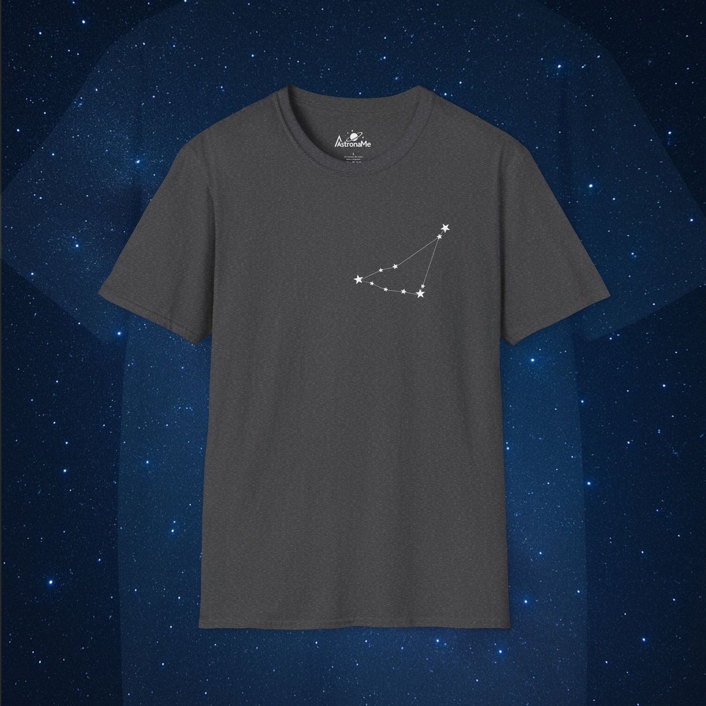 Capricorn Constellation