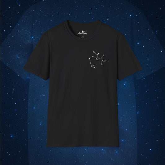 Sagittarius Constellation