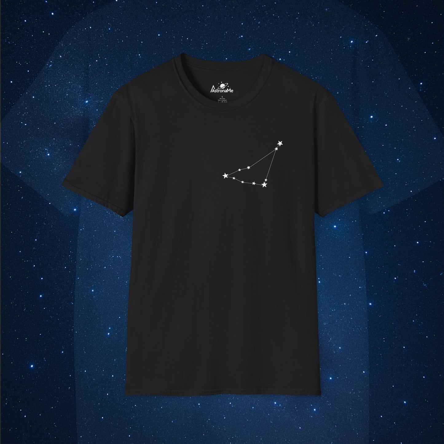 Capricorn Constellation