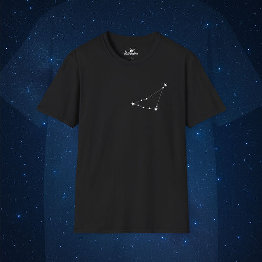 Capricorn Constellation