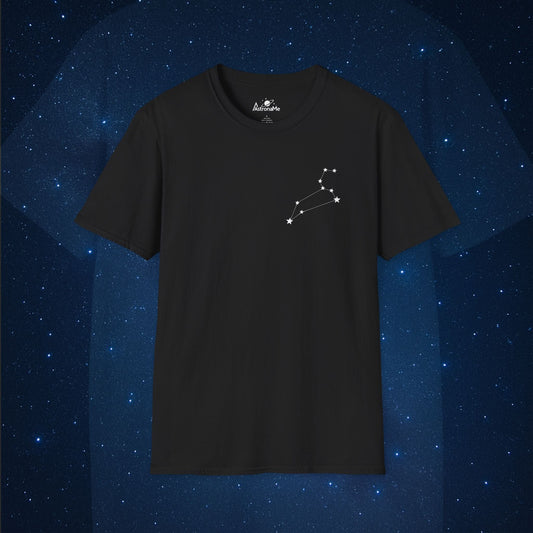 Leo Constellation