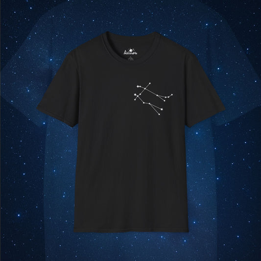 Gemini Constellation
