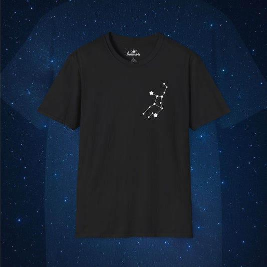 Virgo Constellation