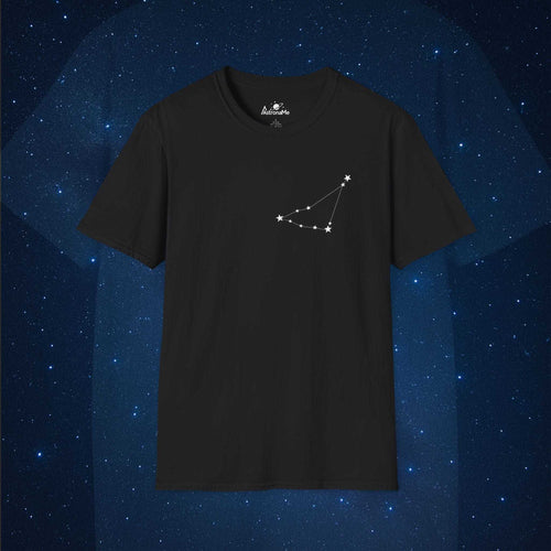 Capricorn Constellation - AstronaMe