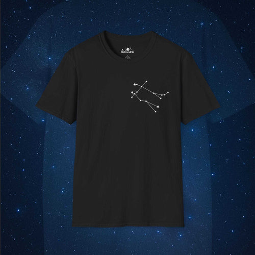 Gemini Constellation - AstronaMe