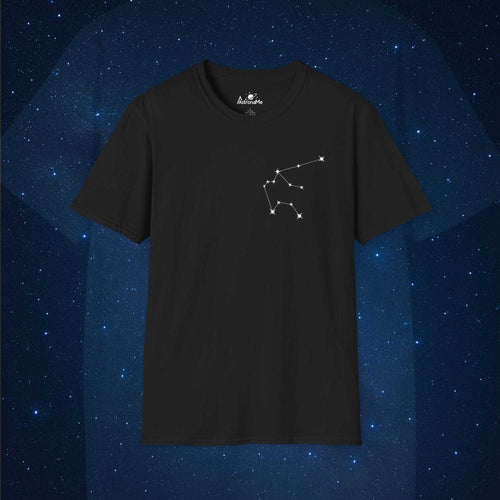 Aquarius Constellation - AstronaMe